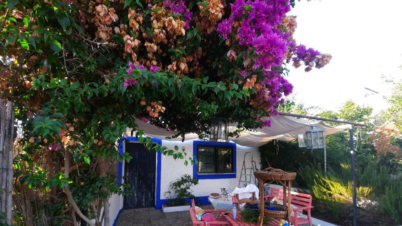 Casa Con Sierra Y Con Portugal Villa Rosal de la Frontera Dış mekan fotoğraf
